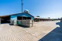 8129 HARVIE ROAD - thumbnail 35