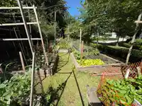 99 15340 GUILDFORD DRIVE - thumbnail 24