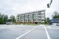 501 10616 132 STREET - thumbnail 1