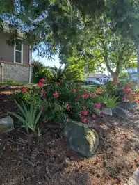 6477 179A STREET - thumbnail 20