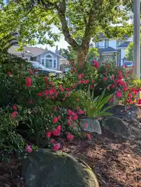 6477 179A STREET - thumbnail 21