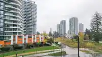 301 13308 CENTRAL AVENUE - thumbnail 18
