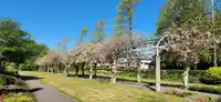 15863 80 AVENUE - thumbnail 39