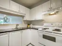 314 10082 132 STREET - thumbnail 7