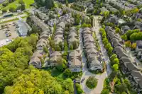 15 15175 62A AVENUE - thumbnail 39