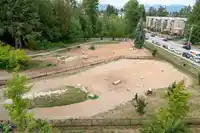 603 10603 140 STREET - thumbnail 31