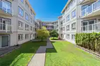 310 8142 120A STREET - thumbnail 4