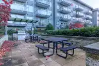 301 10838 WHALLEY BOULEVARD - thumbnail 11