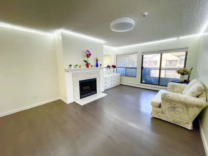 312 8591 WESTMINSTER HIGHWAY - photo 4 of 19