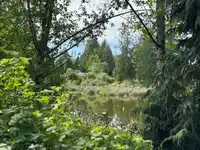 2 15518 103A AVENUE - thumbnail 22