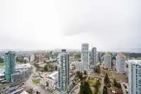 4109 13495 CENTRAL AVENUE - thumbnail 37