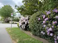 158 10077 156 STREET - thumbnail 39