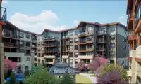302 11058 132 STREET - thumbnail 2