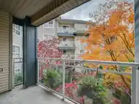 201 8115 121A STREET - thumbnail 20