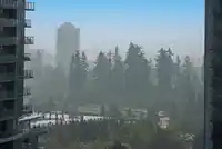 2106 13318 104 AVENUE - thumbnail 7