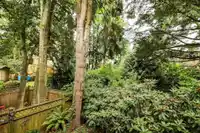41 10555 153 STREET - thumbnail 35