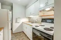 41 10555 153 STREET - thumbnail 10