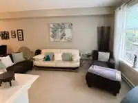 102 17712 57A AVENUE - thumbnail 3