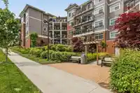 416 6480 195A STREET - thumbnail 29