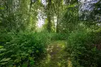 8040 188 STREET - thumbnail 28