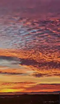 4308 13696 100 AVENUE - thumbnail 39