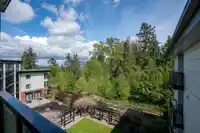 411 14358 60 AVENUE - thumbnail 22