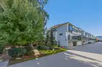 113 8130 136A STREET - thumbnail 1