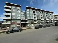 205 14225 103A AVENUE - thumbnail 3