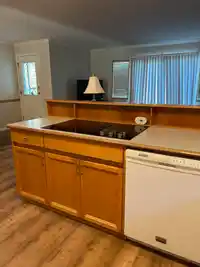16481 86 AVENUE - thumbnail 9