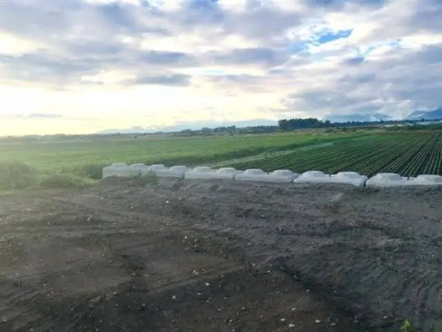 4179 176 STREET - photo 1 of 1