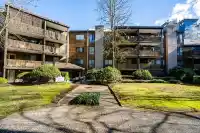 106 10644 151A STREET - thumbnail 4