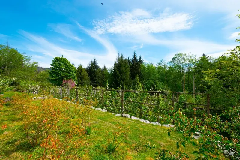 620 LAURA ROAD - photo 4 of 25