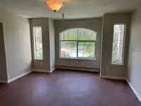 14446 BEDFORD DRIVE - thumbnail 27