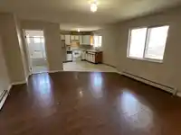 14446 BEDFORD DRIVE - thumbnail 28