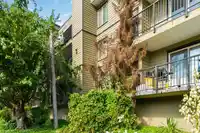 206 10468 148 STREET - thumbnail 22