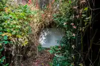 12449 114 AVENUE - thumbnail 24