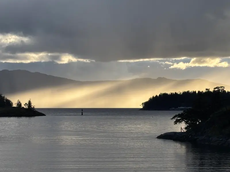 13221 PINEHAVEN WAY - photo 2 of 25