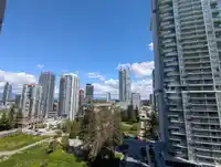 1111 13308 CENTRAL AVENUE - thumbnail 12