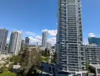 1111 13308 CENTRAL AVENUE - thumbnail 13