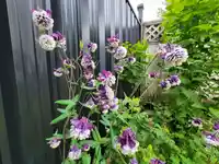 14741 101A AVENUE - thumbnail 36