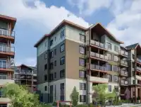 313 11058 132 STREET - thumbnail 1