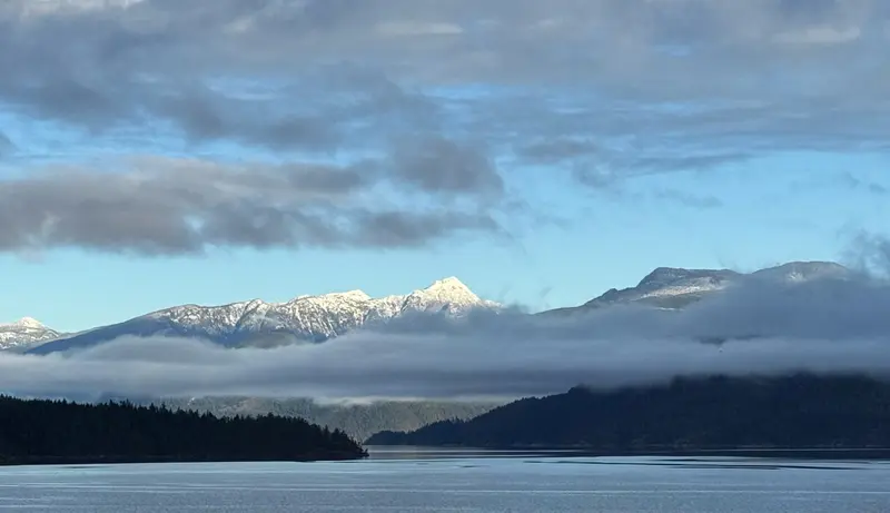 6560 N GALE AVENUE - photo 4 of 25