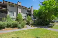 14828 HOLLY PARK LANE - thumbnail 22