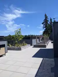 525 11077 RAVINE ROAD - thumbnail 20