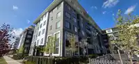 222 15825 85 AVENUE - thumbnail 3