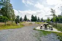 510 10581 140 STREET - thumbnail 21