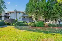 14846 HOLLY PARK LANE - thumbnail 1