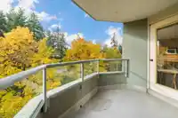 503 10082 148 STREET - thumbnail 18