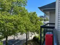 434 10838 CITY PARKWAY - thumbnail 25
