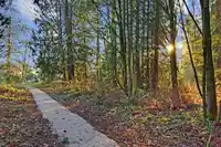 142 16488 64 AVENUE - thumbnail 26